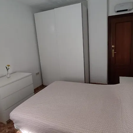 Janini Bajo *